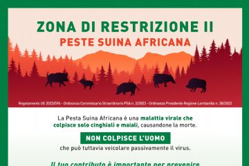 peste suina africana - istituzione zona di restrizione ii - comune di borgoratto mormorolo